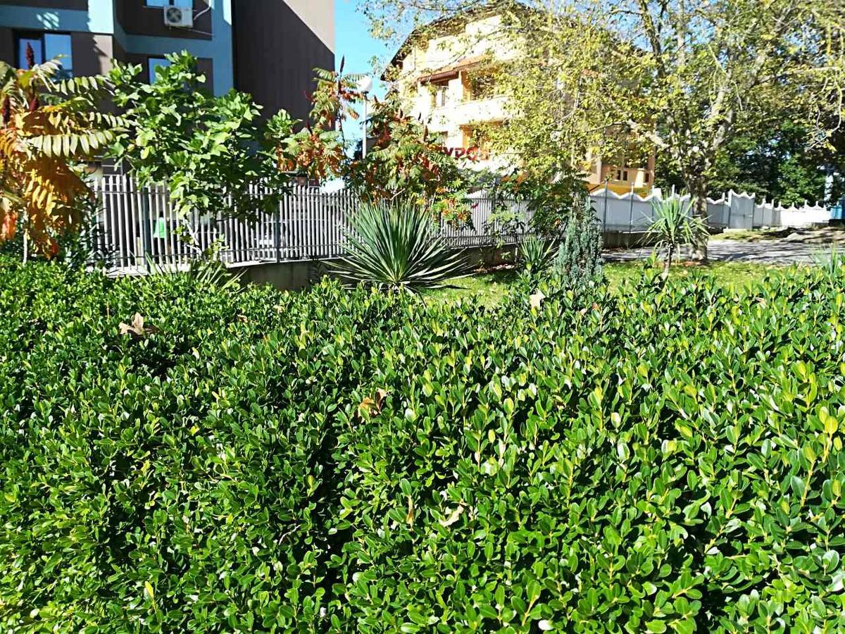 Hotel Park 1 Kiten  Buitenkant foto